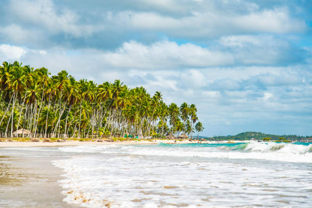 istock Carneiros Beach Landscape from the sea 1420794886