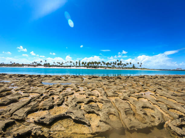 Northeast Brazil tropical beach. Barra de Santo Antonio, Alagoas, Brazil