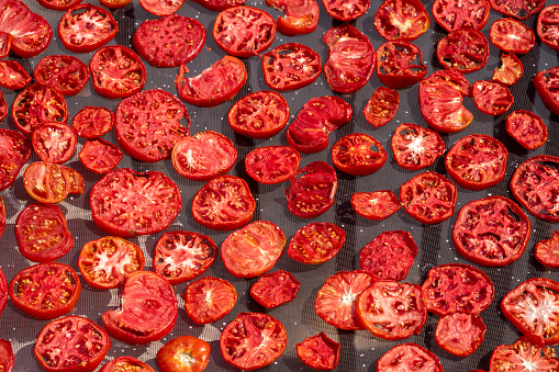 Photo of homegrown tomatoes arranged for drying under sunlight. No people are seen in frame. Shot with a full frame mirrorless camera.