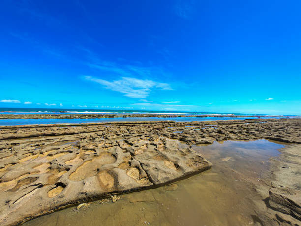 istock Muro Alto Beach in Porto de Galinhas 1420795057