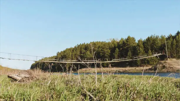 Photo of Wooden bridge and field.  A small wooden bridge over a creek. Grass, blue sky, reeds. A wooden bridge is made for crossing a rice field.