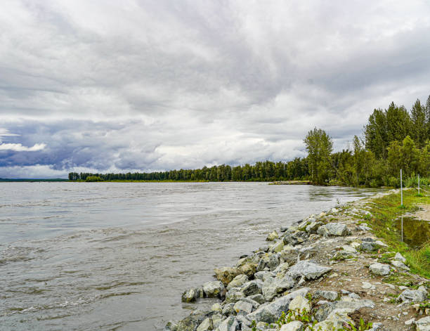 istock Susitna River in Alaska, USA 1420806638