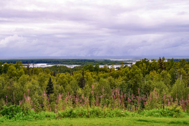 istock Susitna River Landscape in Alaska, USA 1420807201