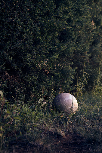 forgotten and abandoned soccer ball in a shady garden