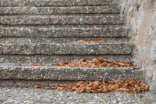 Old gray cement staircase with autumn dry leaves. Stairway to autumn