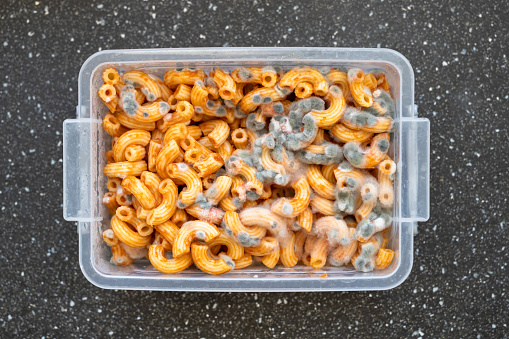 Spoiled pasta, green mold on pasta, pasta in a plastic box after long-term storage