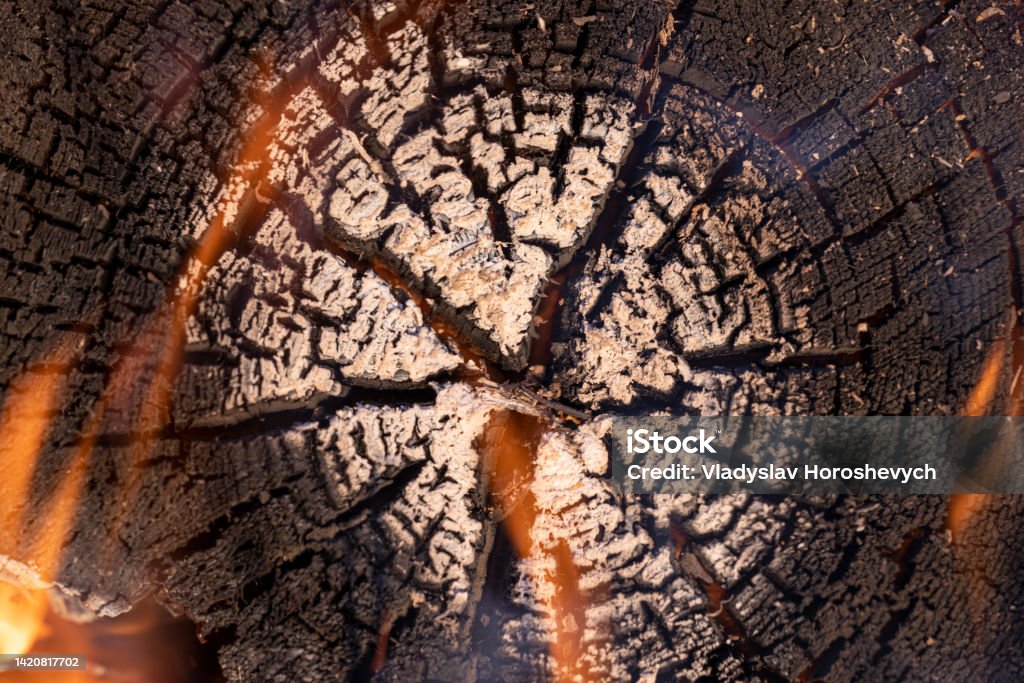 Burning firewood, burnt stump on fire, beautiful burnt wood pattern, wood texture, rings Atmosphere Stock Photo