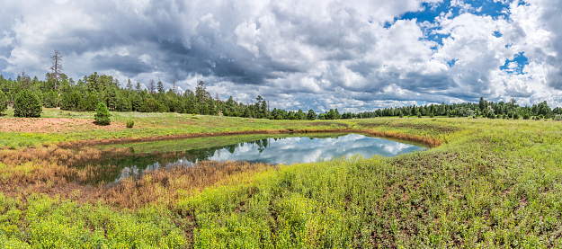 Arizona doesn't have many natural ponds and lakes.  To provide water for their livestock, early ranchers dug stock tanks in the national forest open range.  Now that the national forests are used for recreation these old tanks provide ideal habitat for wildlife as well as popular destinations for hiking.  This unnamed tank, with its reflection of dark stormy clouds, has filled up from the monsoon rainfalls.  It is located at the base of Campbell Mesa in Coconino National Forest, Arizona, USA.