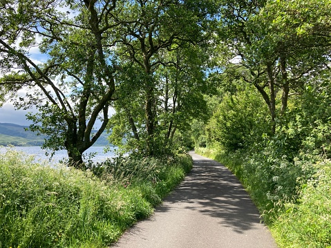 Quiet country lane in summer running alongside a beautiful loch in Scotland surrounded by hills