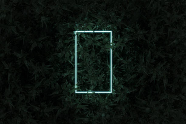 istock 3D rendering of lighten neon rectangular shape above corn plants. Flat lay of minimal nature style concept 1420823133