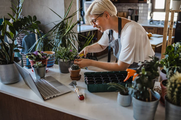 istock A smiling blonde woman is doing plant nursery 1420824123