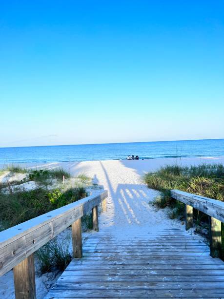 istock BEAUTIFUL MORNING ON THE BEACH 1420825355