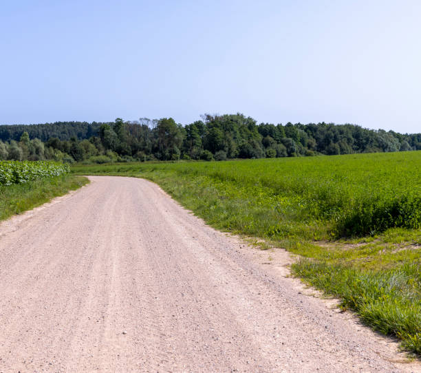 istock Dirt road in the field 1420831678