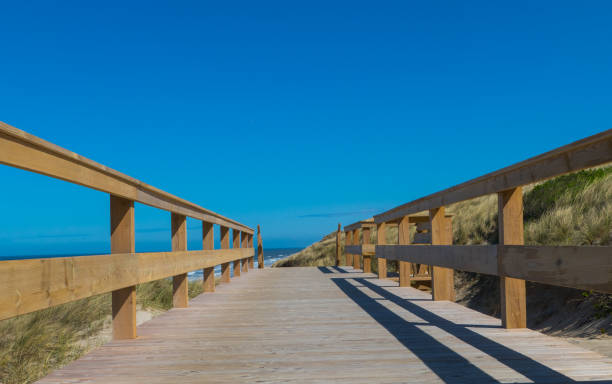 istock Wooden Pathway to Horizon 1420837472