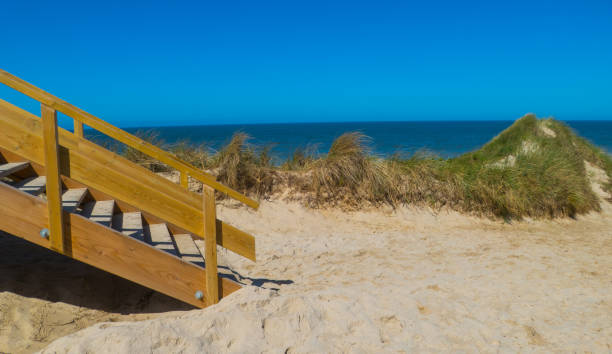 istock Part of Stairs on Beach 1420837541