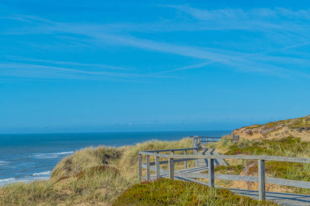 istock Wooden Boardwalk through Dune Landscape Sylt Germany 1420837679