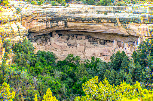 An image of Cliff Palace, a cliff dwelling at Mesa Verde National Park.