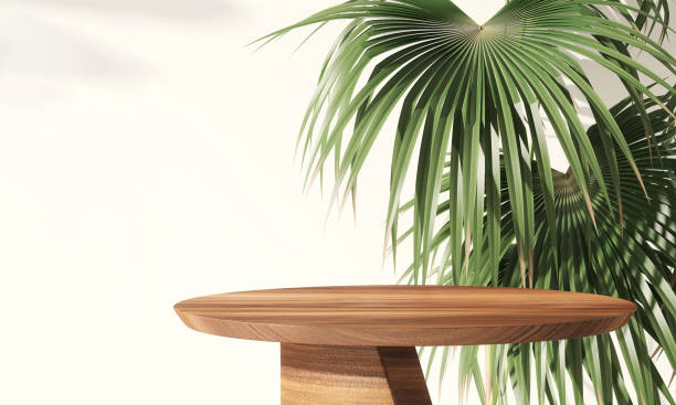 podio rotondo in legno con foglie di palma tropicale su sfondo bianco - side table foto e immagini stock
