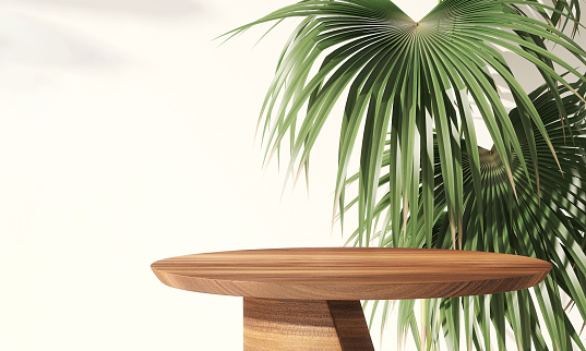 Round wood pedestal table podium with tropical palm tree with sunlight and leave shadow on white background for luxury and sustainable lifestyle product display