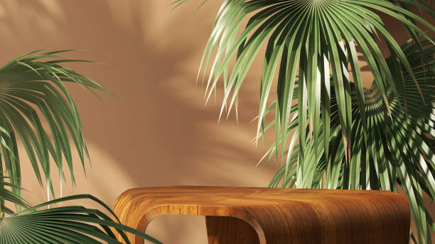 Geometric shape wood pedestal table podium with tropical palm tree leaves on white background Geometric shape wood pedestal table podium with tropical palm tree with sunlight and leave shadow on white background for luxury and sustainable lifestyle product display thai decor stock pictures, royalty-free photos & images
