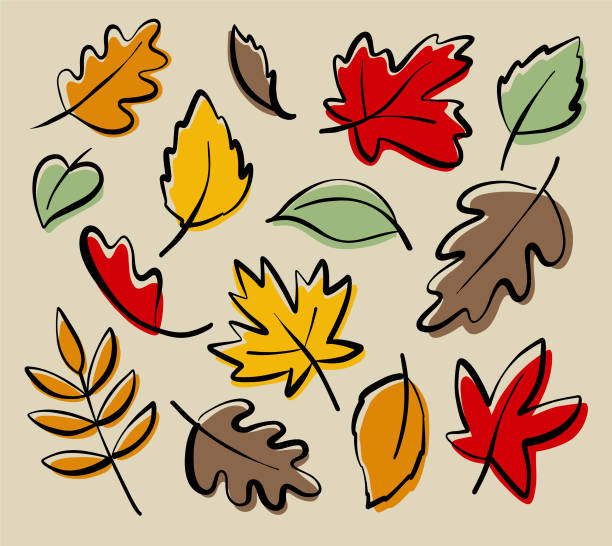 illustrations, cliparts, dessins animés et icônes de griffonnages de feuilles d’automne - oak leaf leaf maple leaf autumn