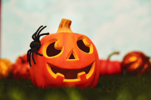 Halloween background with cute smiling Jack O'Lantern and spider