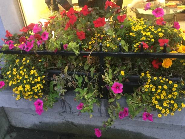 istock Window Flower Box - Ennis, Co. Clare, Ireland 1420844213