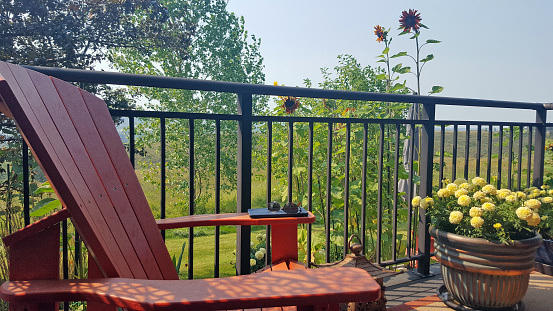 Back residential deck with pots of Marigolds and an Adirondack Chair. Black iron railings. Sunflowers growing outside the deck. Tablet and Sunglasses on arm of chair.