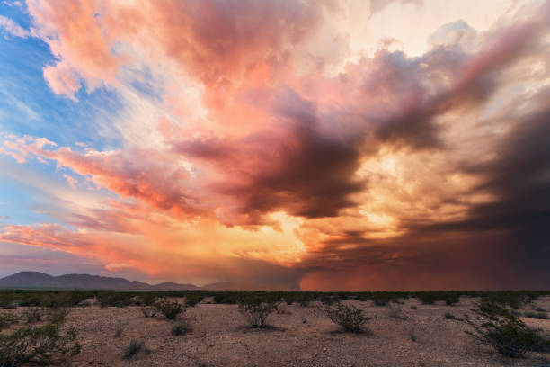 Dramatic monsoon season sunset and dust storm in the desert near Wenden, Arizona.