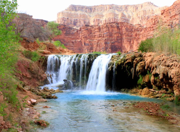 istock Lower Navajo Falls in Havasupai 1420850587