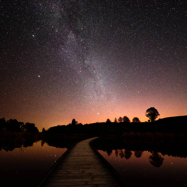 ペカ ペカ湿地の夜景、ニュージーランド - marlborough region zealand new landscape ストックフォトと画像