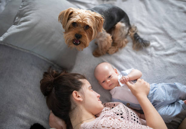istock Happy family moment with dog. 1420852454