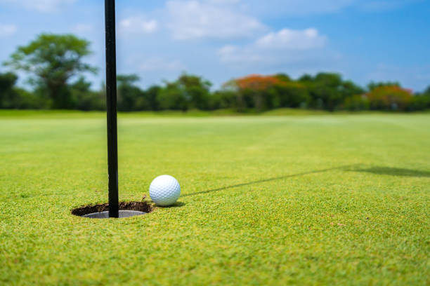 istock Golfer putt golf ball into hole on the green at golf course 1420854190