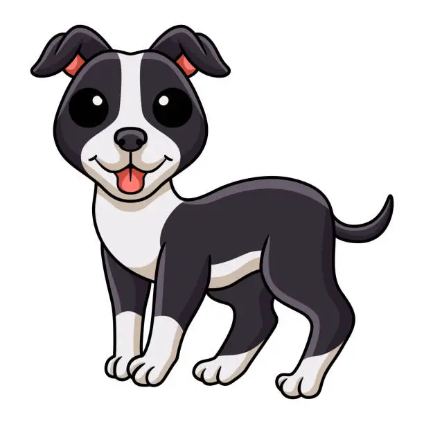 Vector illustration of Cute american staffordshire terrier dog cartoon