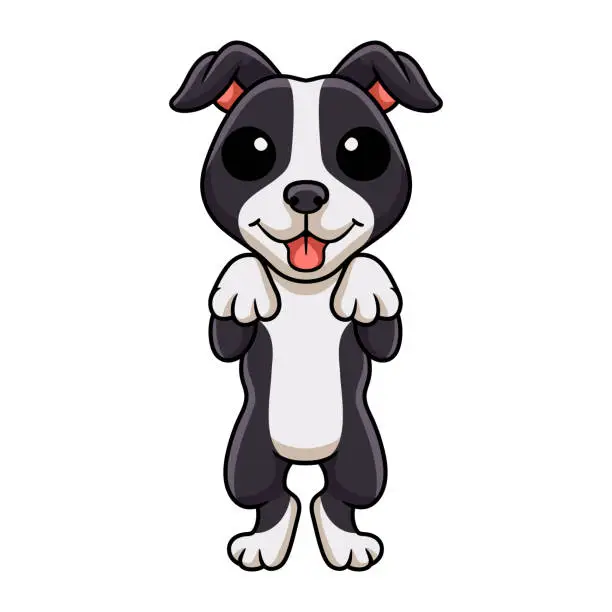 Vector illustration of Cute american staffordshire terrier dog cartoon