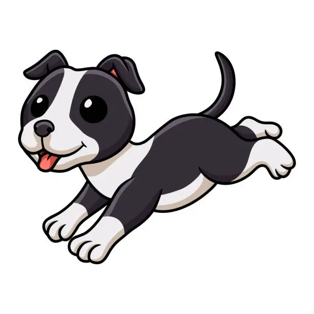 Vector illustration of Cute american staffordshire terrier dog cartoon