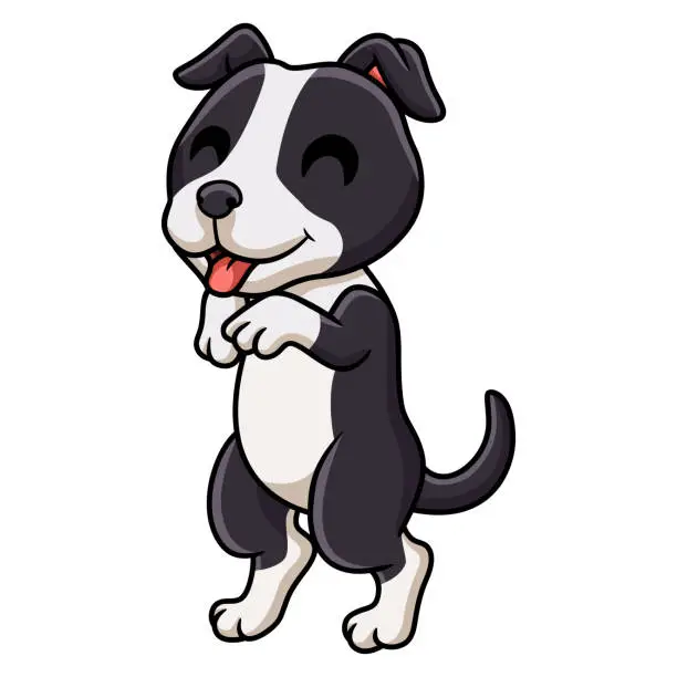 Vector illustration of Cute american staffordshire terrier dog cartoon