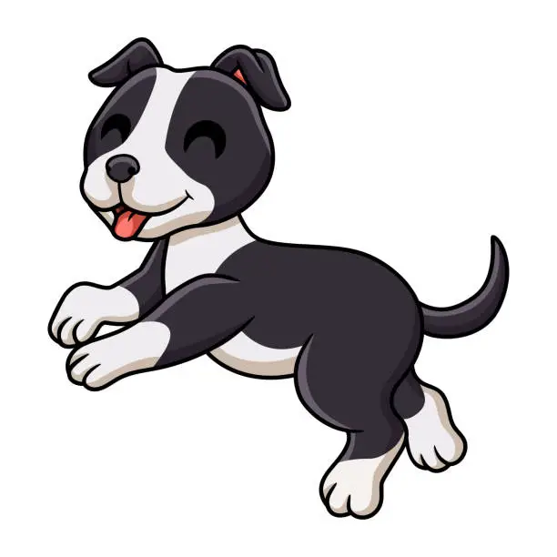 Vector illustration of Cute american staffordshire terrier dog cartoon