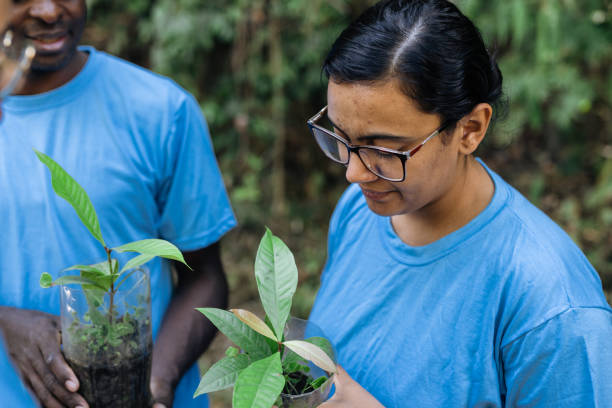 freiwillige, die baumsetzlinge zum pflanzen halten - wildnisgebiets name stock-fotos und bilder