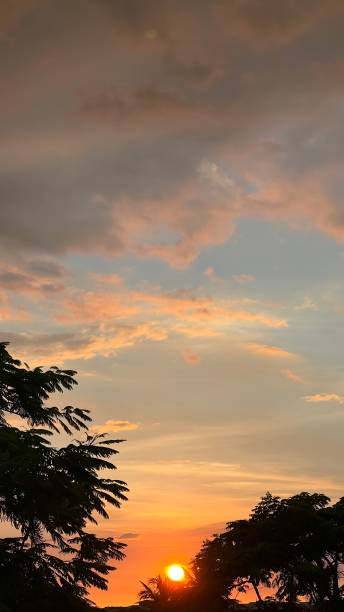 istock SUNSET AT THE PARK 1420866673