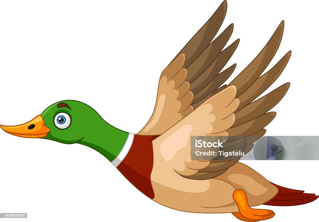 Ilustración de Lindo Dibujo Animado De Pato Volando Sobre Fondo Blanco y  más Vectores Libres de Derechos de Ala de animal - iStock