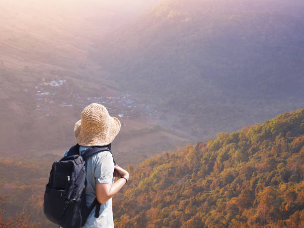 istock Back view woman tourist backpacker looking at autumn forest on high mountain 1420885207