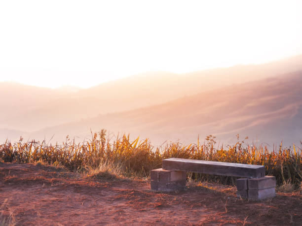 Wooden bench on high mountain with landscape golden dry grass meadow at sunrise. Natural autumn and winter background.