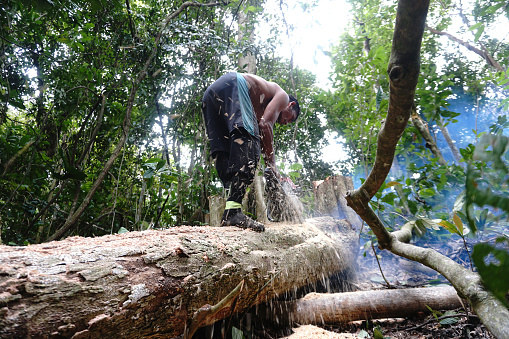 a carpenter cuts and splits wood in Aceh's Ulu Masen ecosystem illegally for sale on April 15, 2022