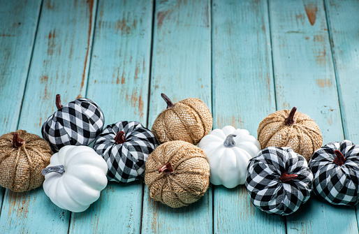 Pumpkins for Thanksgiving on wooden background