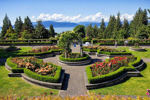 July 1, 2022, Beautiful Rose Garden at University of British Columbia campus, Vancouver, Canada