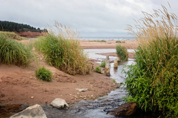 North Rustico Beach at the onset of the  Rue du Gulf Shore Parkway National Park on Prince Edward Island on an overcast, blustery day.
