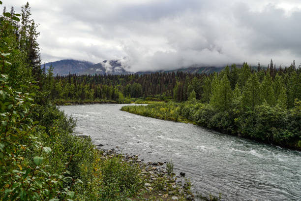 River in the Kenai Mountain Range, Alaska, USA. Copy Space.