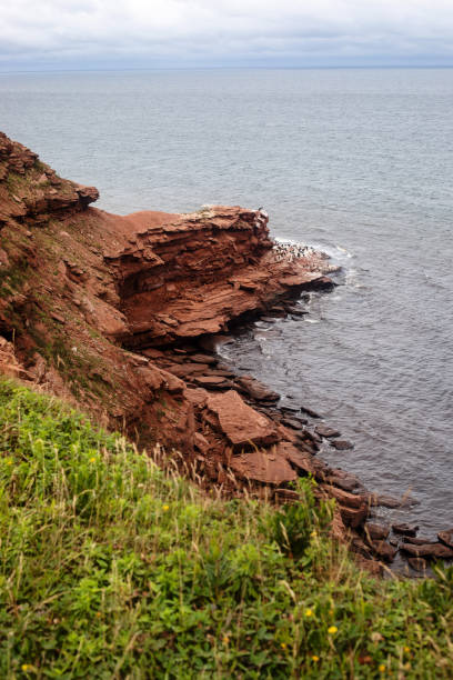 istock Rue du Gulf Shore Parkway on Prince Edward Island 1420894341