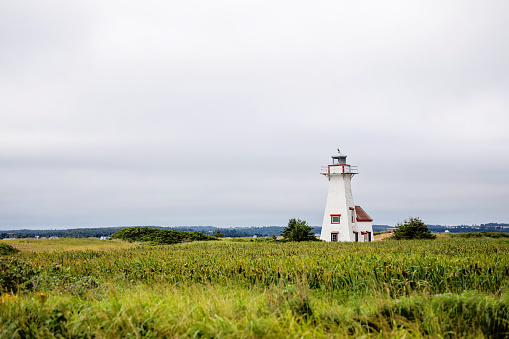 New London Lighthouse among sea grass on Prince Edward Island